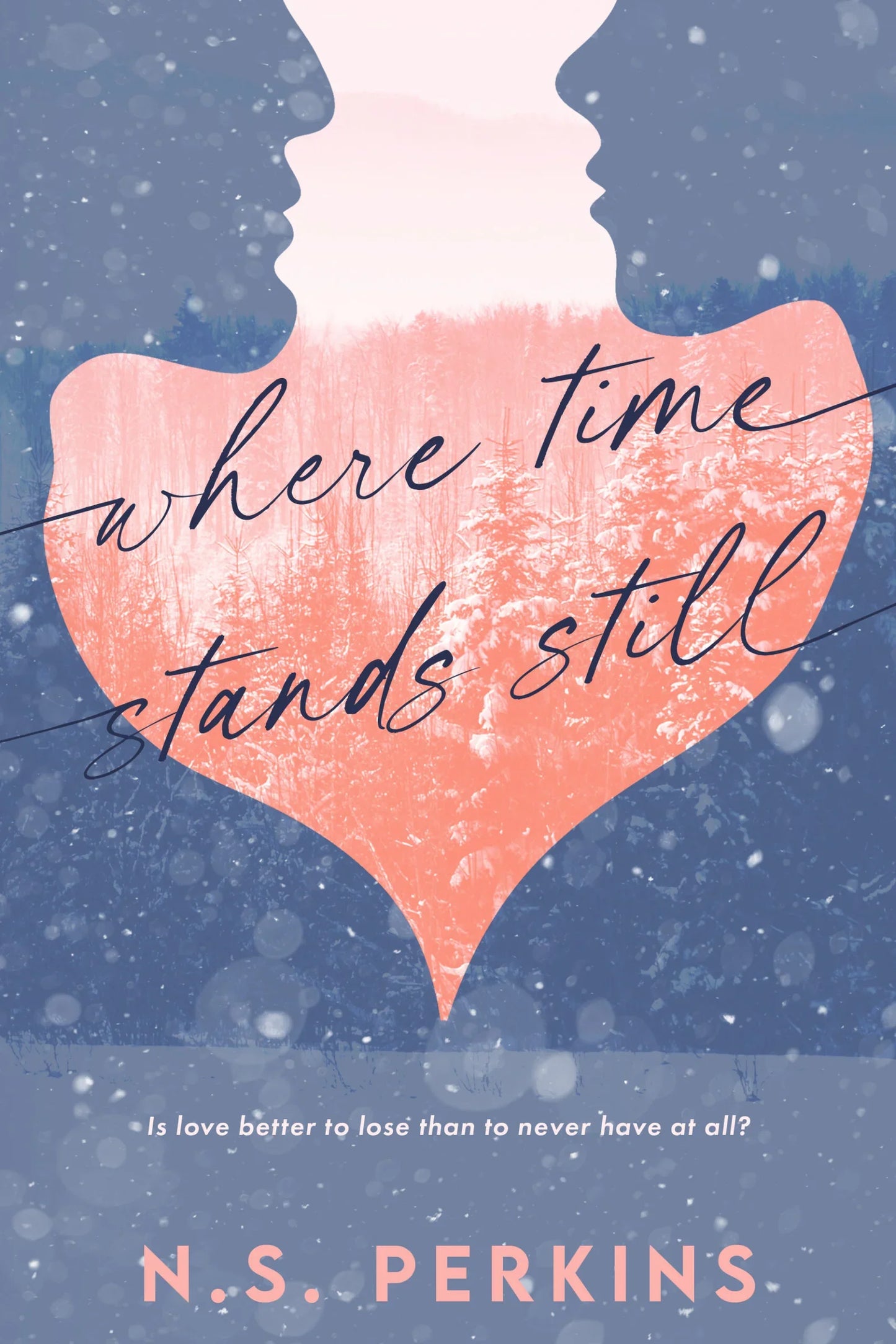 Where Time Stands Still By N.S. Perkins
