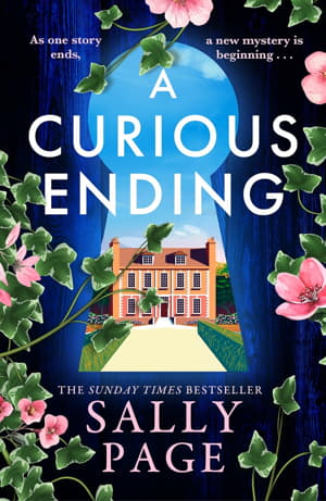A Curious Ending by Sally Page