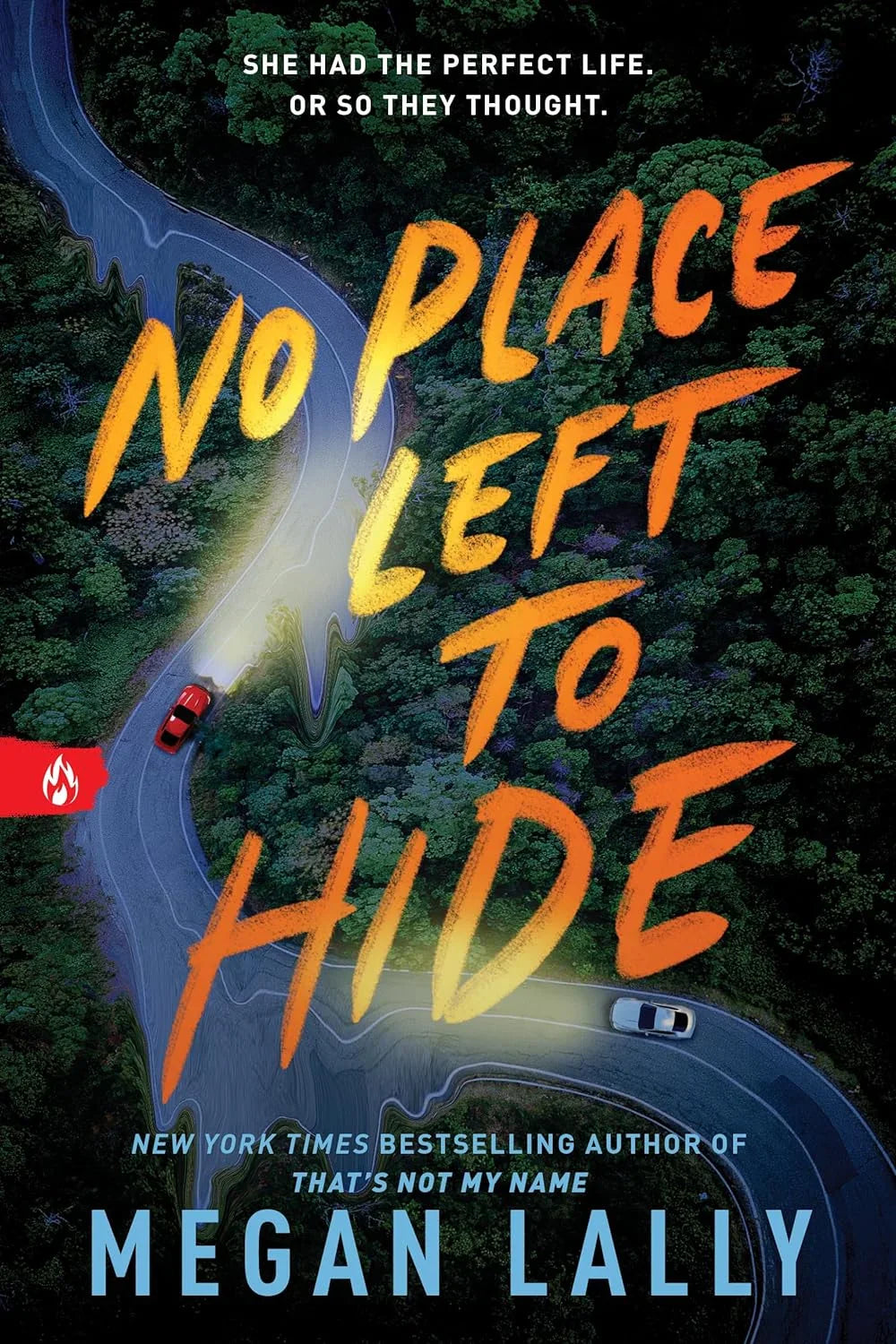 No Place Left to Hide By Megan Lally