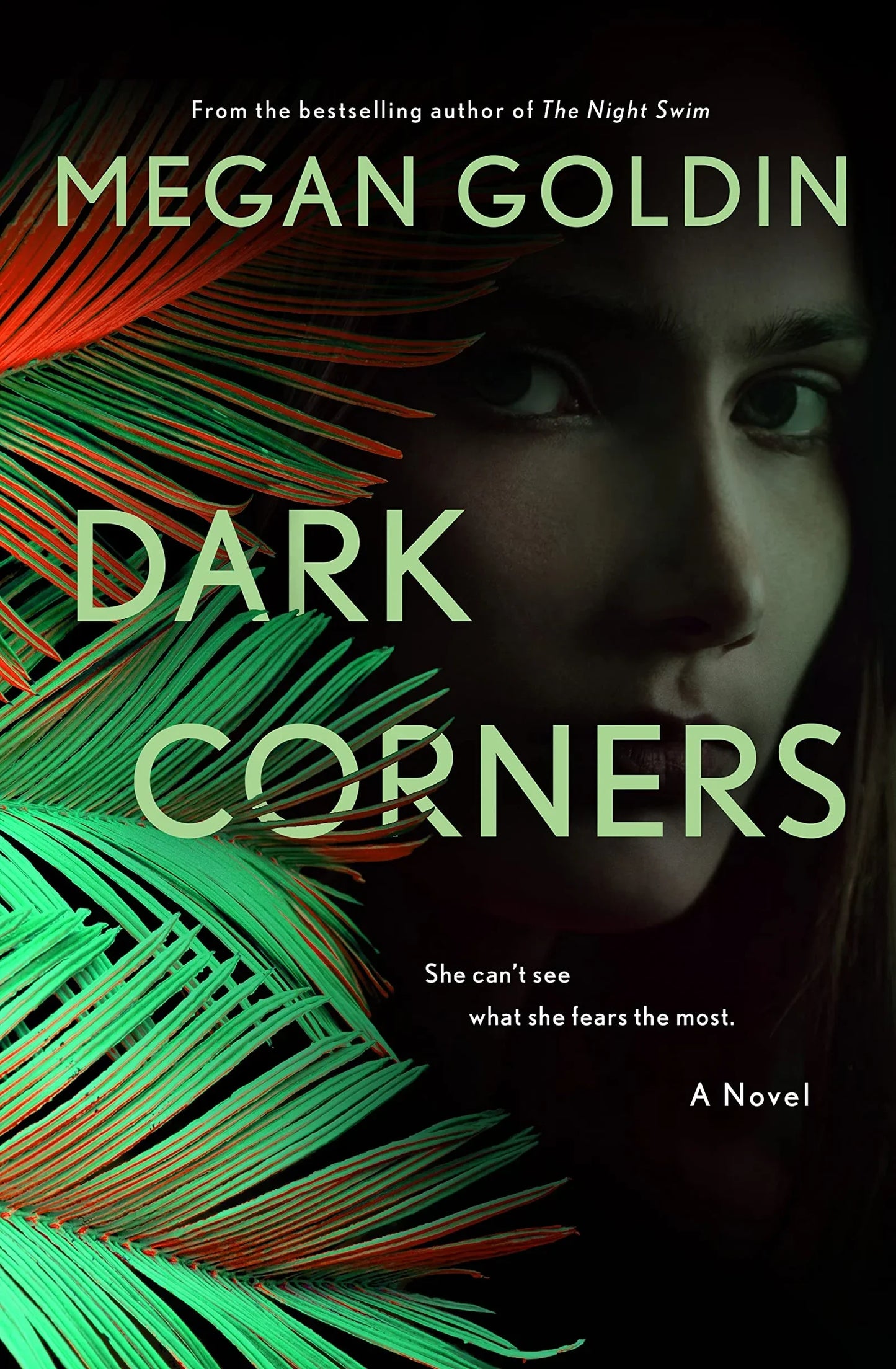 Dark Corners Megan Goldin