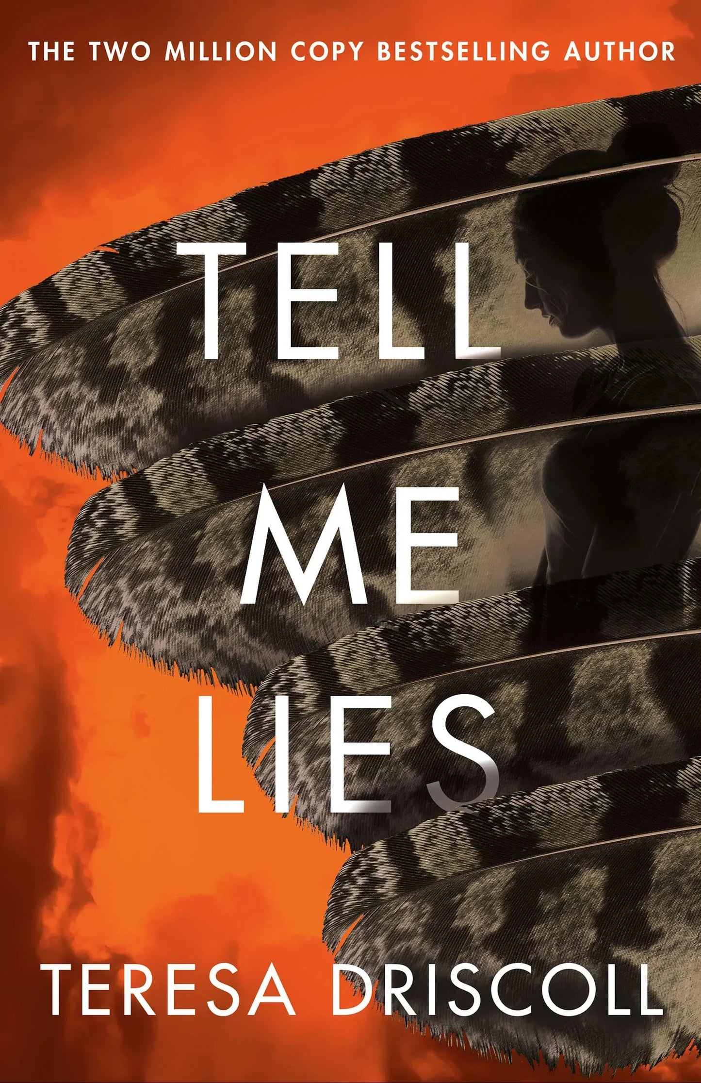 Tell Me Lies By Teresa Driscoll