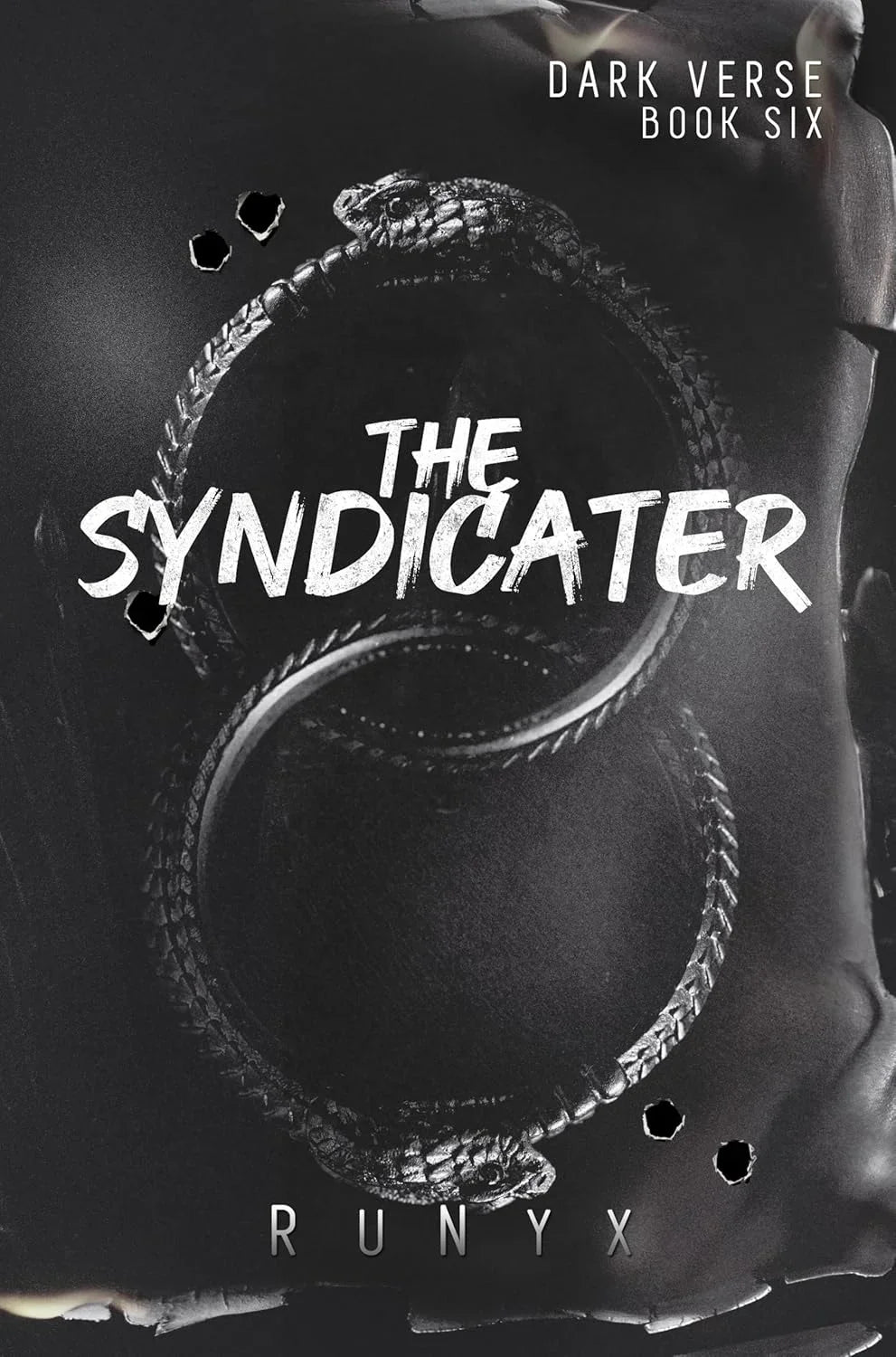 The Syndicater (Dark Verse Book 6)