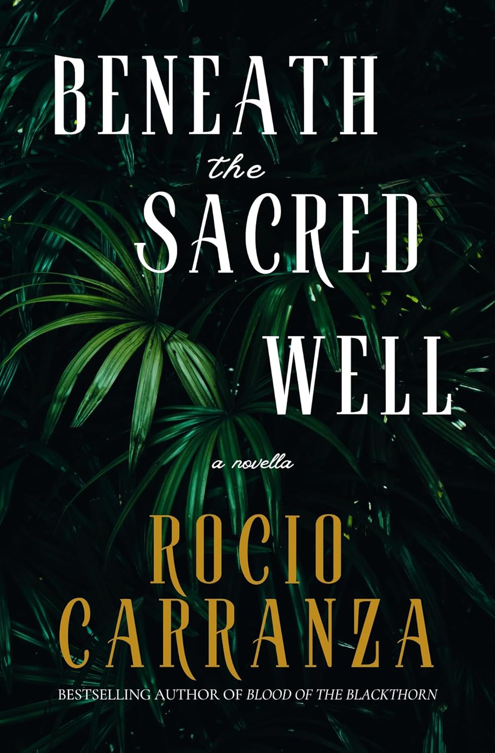 Beneath the Sacred Well by Rocio Carranza