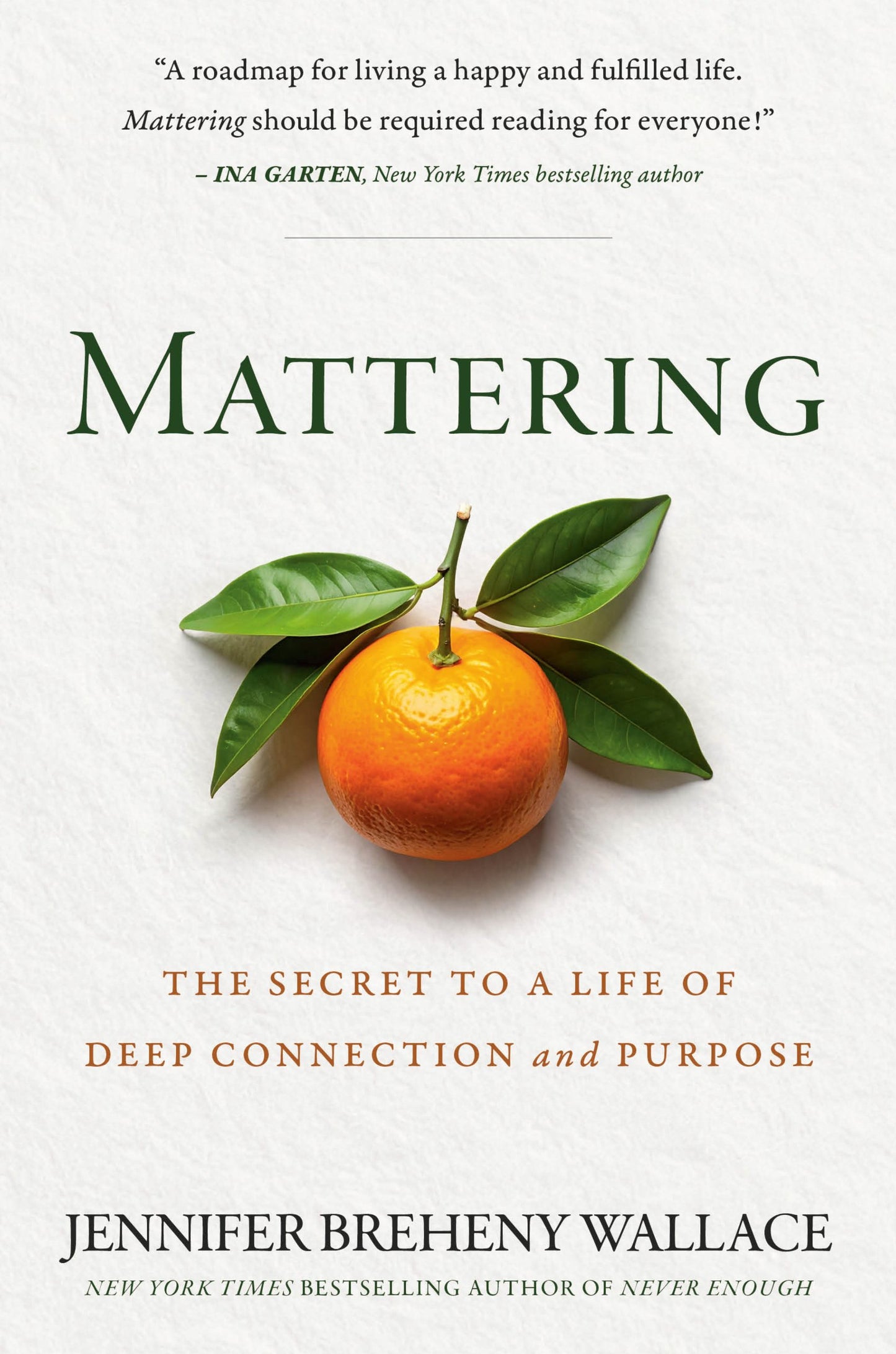 Mattering: The Secret to a Life of Deep Connection and Purpose by Jennifer Breheny Wallace