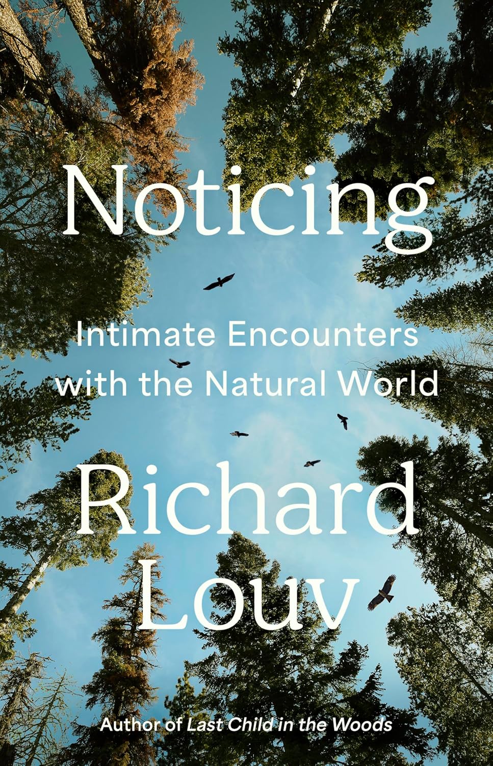 Noticing: Intimate Encounters with the Natural World by Richard Louv