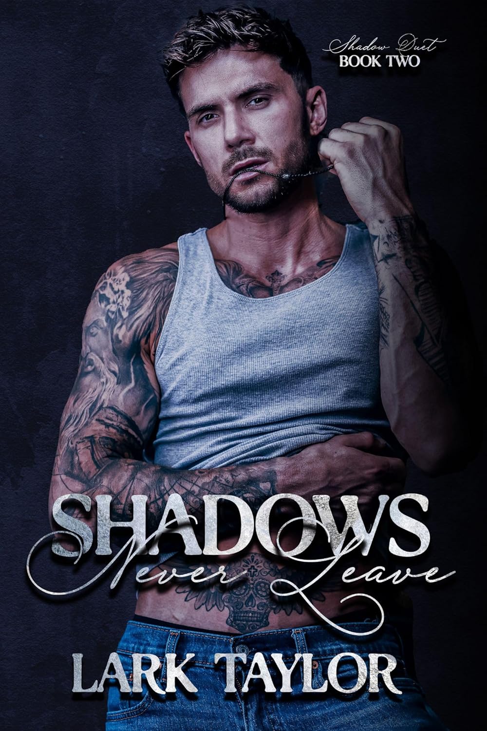 Shadows Never Leave (Shadow Duet, #2) by Lark Taylor