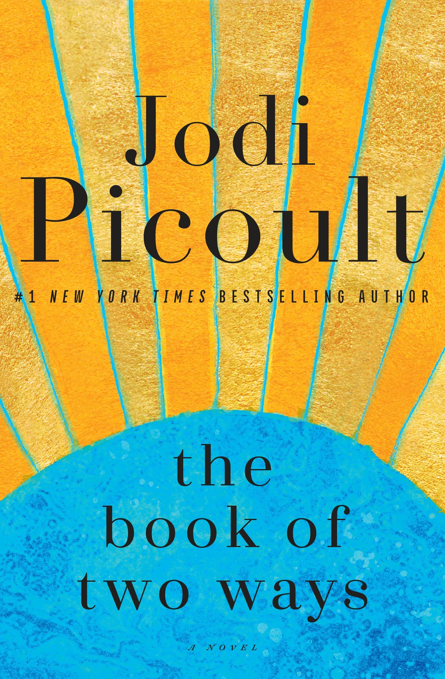 The Book of Two Ways by Jodi Picoult